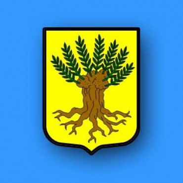 KONAČNI REZULTATI LOKALNIH IZBORA 2025,